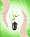 Environment friendly bulb