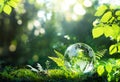 Environment. Glass Globe On Grass Moss In Forest
