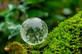 Environment. Glass globe on grass moss in forest, Green planet with abstract defocused bokeh lights, Environmental conservation