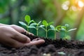 Environment hands of trees growing seedlings