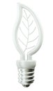 Environment: leaf or folium light bulb on white