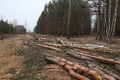 Environment, nature and deforestation - cutting down and felling of trees in forest