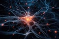 The environment of the nervous system, the nerve cell