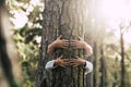 Environment people save the planet and stop deforestation concept with hidden couple of senior hugging with love an old big tree Royalty Free Stock Photo