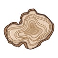 environment tree rings cartoon vector illustration Royalty Free Stock Photo