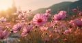 violet flower field sunset blooming meadow environment beautiful nature background pink. Generative AI. Royalty Free Stock Photo