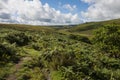 Environment of Wistman`s Wood - an ancient landscape on Dartmoor, Devon, England Royalty Free Stock Photo