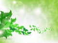 Environmental Background with green leaf butterflies