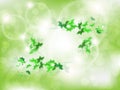 Environmental Background with green leaf butterflies