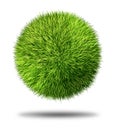 Environmental Conservation Grass Ball