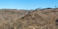 Environmental destruction climate change crisis environment landscape nature woods forest dieback panorama at Brocken in Harz,