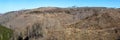 Environmental destruction climate change crisis environment landscape panorama nature woods forest dieback at Brocken in Harz,