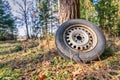 Environmental elapse in a forest, a left behind tire in pure nature. Royalty Free Stock Photo