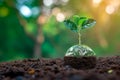 Environmental essence Concept of Earth Day, a tree growing on soil Royalty Free Stock Photo