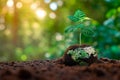 Environmental essence Concept of Earth Day, a tree growing on soil Royalty Free Stock Photo