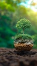 Environmental essence Concept of Earth Day, a tree growing on soil Royalty Free Stock Photo