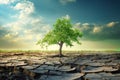 Environmental and global warming concepts. Live and dead big A Tree. Soil erosion. Ecology. Deforestation Royalty Free Stock Photo