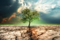 Environmental and global warming concepts. Live and dead big A Tree. Soil erosion. Ecology. Deforestation Royalty Free Stock Photo