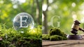 Environmental governance concept with globe and gavel on moss in a nature background split view Royalty Free Stock Photo