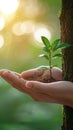 Environmental guardianship Human hand shields a tree, sunlight illuminates