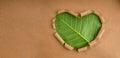 Environmental and Health Care Concept. Green Leaf in Shape of Heart. Green Energy, Renewable and Sustainable Royalty Free Stock Photo