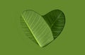 Environmental and Health Care Concept. Green Leaf in Shape of Heart. Green Energy, Renewable and Sustainable Royalty Free Stock Photo