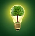 Environmental Ideas