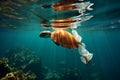 Environmental plight Plastic bag pollution harms ocean life and ecosystems