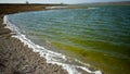 Environmental pollution, bloom of unicellular algae in a eutrophic reservoir, Ukraine Royalty Free Stock Photo