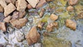 Environmental pollution, dirty water in a silt with stones and rubbish