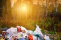 Environmental pollution and environmental threat from a pile of discarded garbage in a beautiful forest lit by sunlight.
