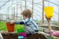 Environmental. environmental protection concept. environmental conditions in greenhouse for growing plants. child Royalty Free Stock Photo