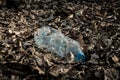 Environmental protection. Garbage trash in environment. Plastic waste rubbish in forest, woodland. Empty used dirty bottles. Royalty Free Stock Photo