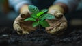 Environmental Scientist - A professional who studies the environment and works to protect it