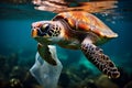 Environmental threat Plastic pollution harms sea turtles and ocean animals