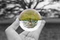 Environmental transition is in your hands Royalty Free Stock Photo