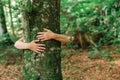 Environmentalist tree hugger is hugging wood trunk in forest