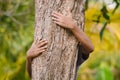Environmentalist tree hugger is hugging wood trunk in forest, female arms hugging the tree Royalty Free Stock Photo