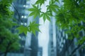 Environmentally friendly green city architecture skyscraper design urban planning nature leaves trees plants oxygen