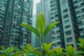 Environmentally friendly green city architecture skyscraper design urban planning nature leaves trees plants oxygen