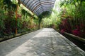 Environmentally friendly paving path with healthy plants around it - Environmentally friendly eco-paving. Royalty Free Stock Photo