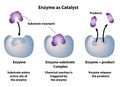 Enzyme as Catalyst in Chemical Reactions Royalty Free Stock Photo