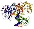 Enzyme DNA polymerase I Royalty Free Stock Photo