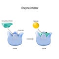 Competitive inhibition. enzyme inhibitor is a molecule that binds blocking to an enzyme and decreases its activity