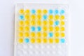 Enzyme-linked immunosorbent assay or ELISA plate