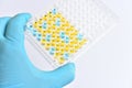 Enzyme-linked immunosorbent assay or ELISA plate