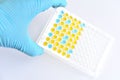 Enzyme-linked immunosorbent assay or ELISA plate