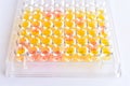 Enzyme-linked immunosorbent assay or ELISA plate Royalty Free Stock Photo