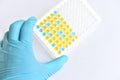 Enzyme-linked immunosorbent assay or ELISA plate