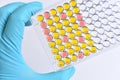 Enzyme-linked immunosorbent assay or ELISA plate